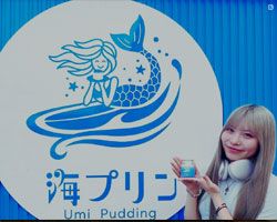 海の恵みの海プリン