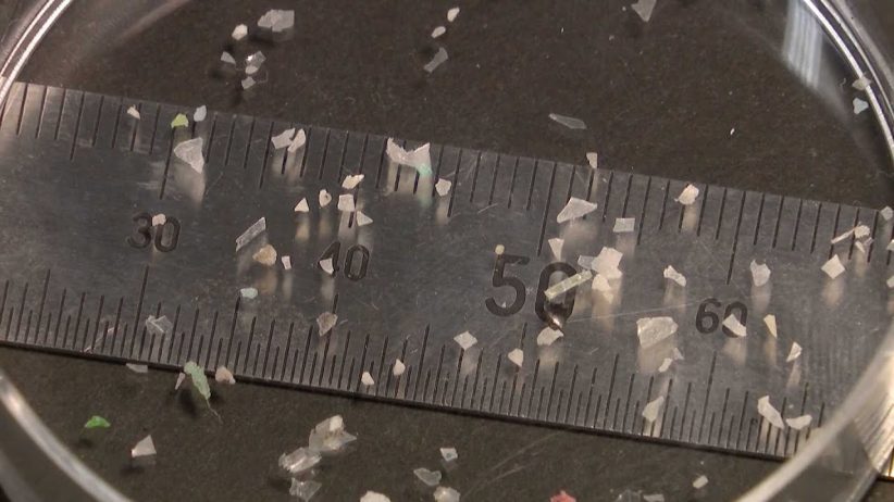 人の肺からプラスチック